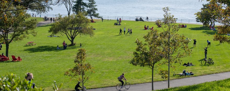 Photo of summer at Governors Island showing people riding bikes during the day.
