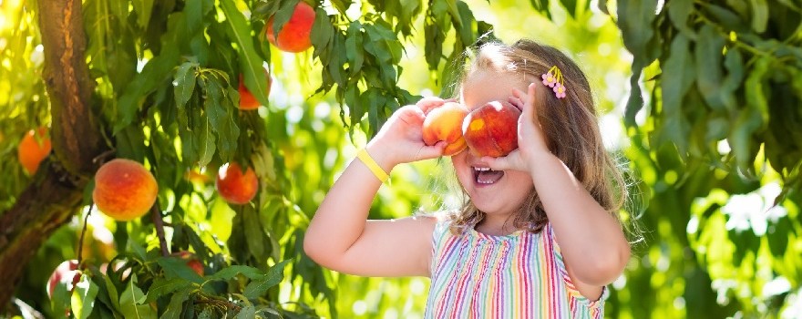 Peach Picking