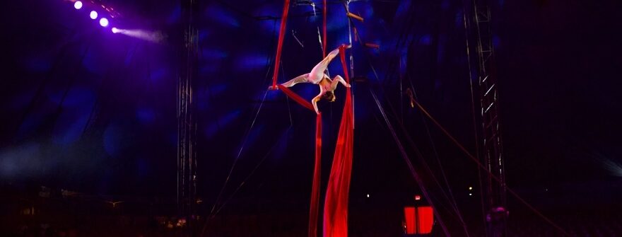 Do Portugal Circus is Coming to Staten Island!