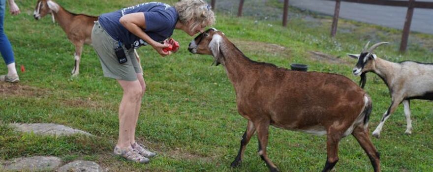 A woman outside with a goat named Hermione, one of the animals at Goat Games 2023.