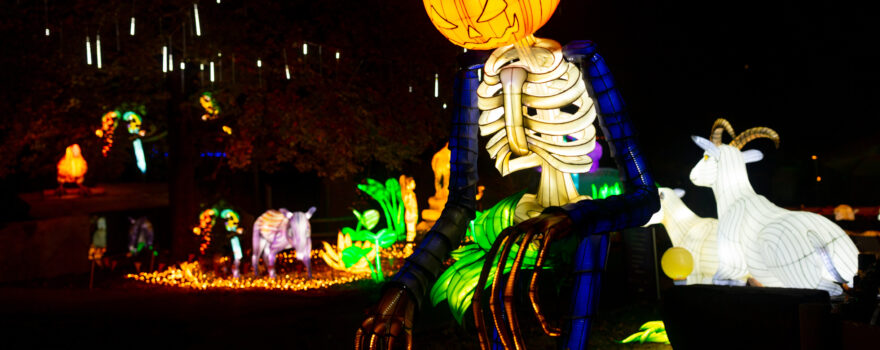 Glowing Halloween display at a Dino Safari event