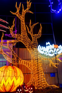 Glowing Halloween display at a Dino Safari event