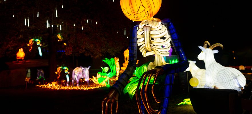 Spooky Fun at Dino Safari Event in NJ