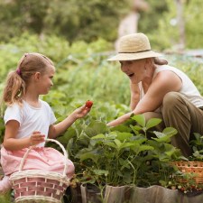 Go strawberry picking near Staten Island.