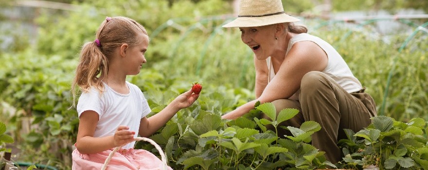 Go strawberry picking near Staten Island.