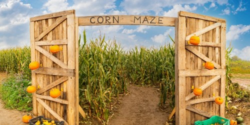 Corn Mazes