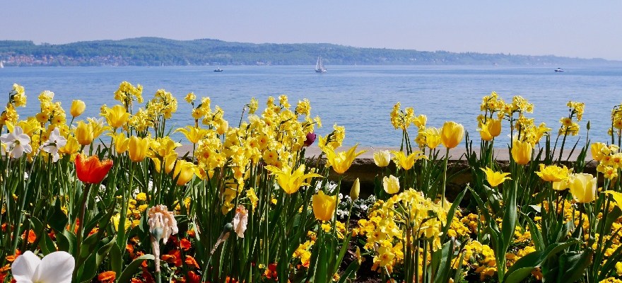 The Ultimate Staten Island Spring Break Bucket List