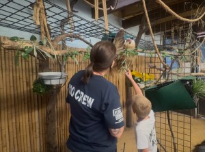 Inspiration Charlee Citera and Her Day at the Staten Island Zoo