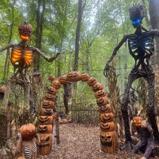 Twisted Trails