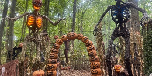 Twisted Trails