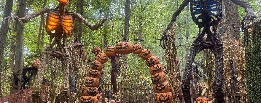 Twisted Trails