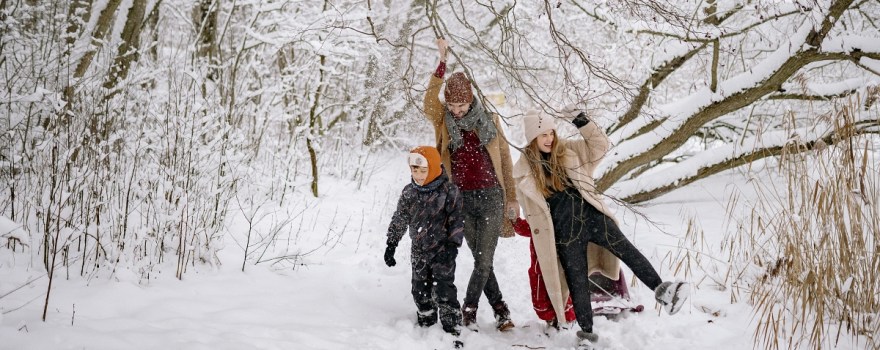 winter bucket list staten island