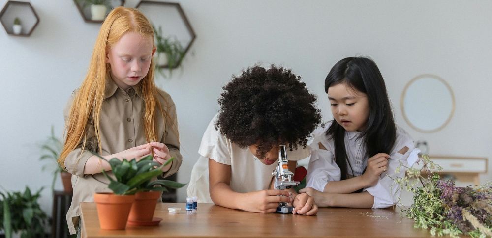 Bring Learning Home with NYPL STEAM Discovery Kits