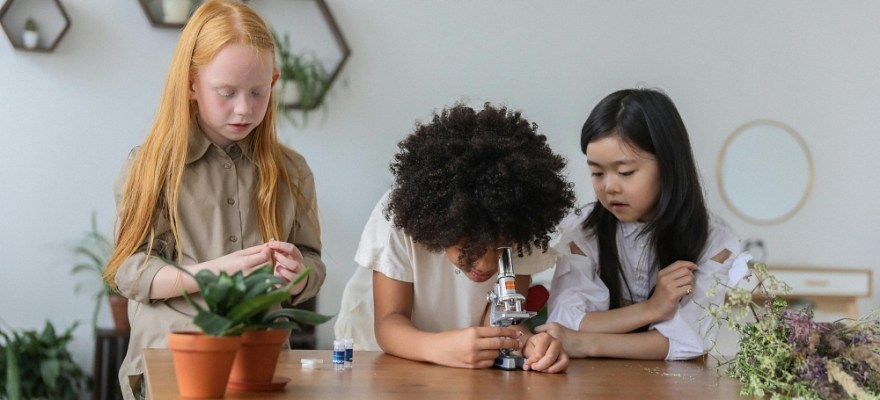 Bring Learning Home with NYPL STEAM Discovery Kits