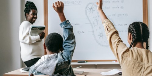 staten island Ultimate Guide to Schools