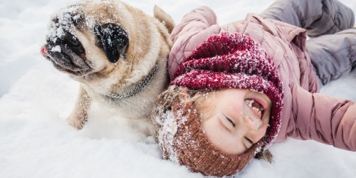 Things to do Staten Island