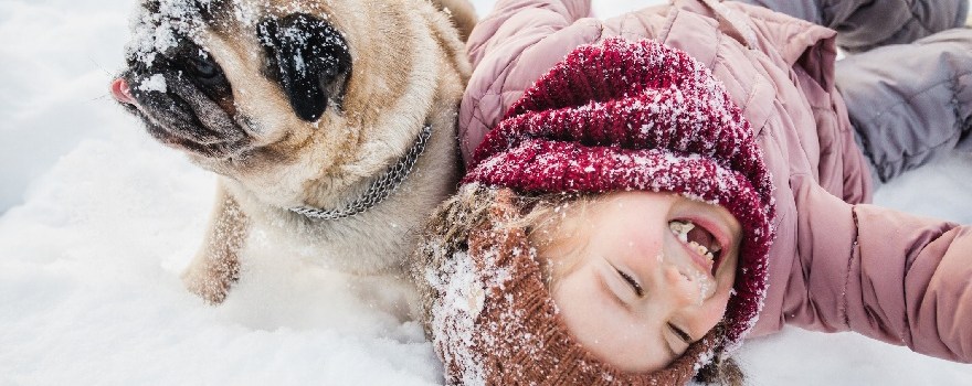 Things to do Staten Island