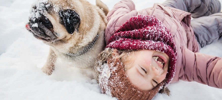 Things To Do This Weekend in Staten Island