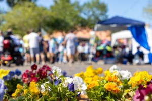 Things to do with kids on Staten Island | Local Events