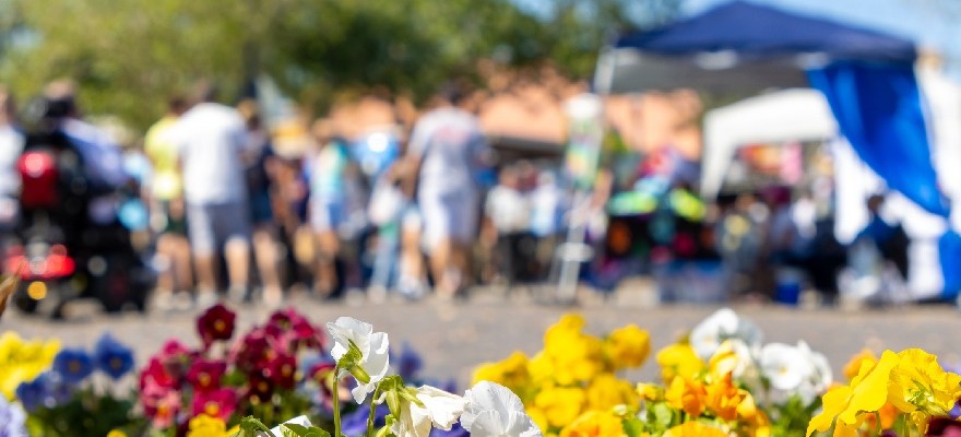 Things To Do This Weekend in Staten Island